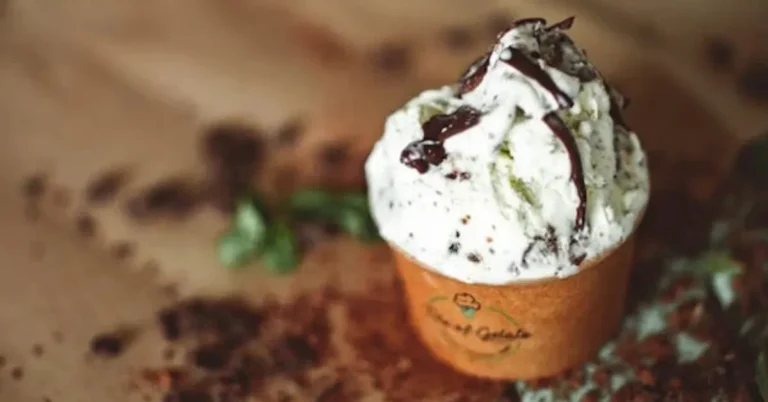 We Tested 8 Mint Chocolate Chip Ice Creams—Here Are Our Favorites