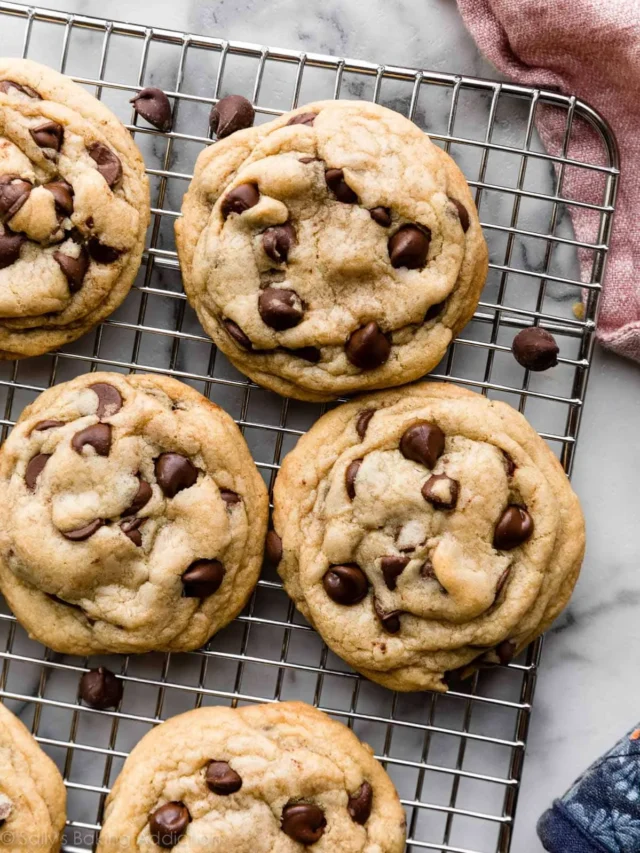 Chewy Chocolate Chip Biscuits