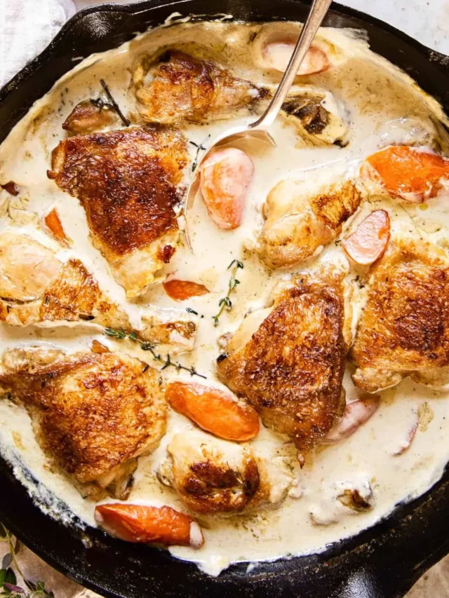 Easy Chicken Fricassee Recipe